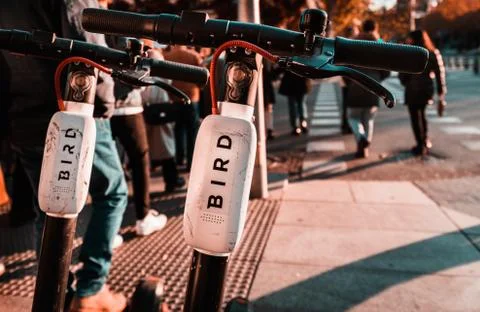 Close up of handle bars of a dockless electric BIRD scooter Stock Photos