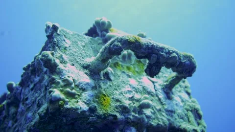 Close-up of handle of shipwreck in tropical ocean Video stock 241086681