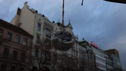 A close-up of a handmade hanging bird feeder filled with seeds, set against the  Stock Footage 300114530