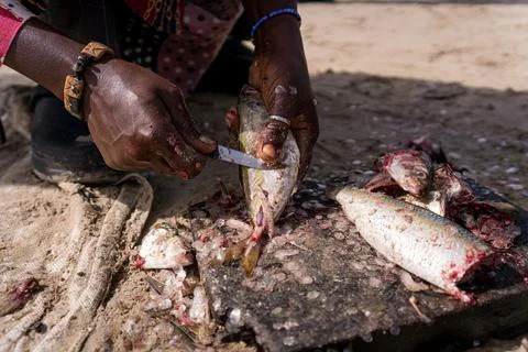 Close up of hands of african man working on traditional seafood at the beach in Stock Photos