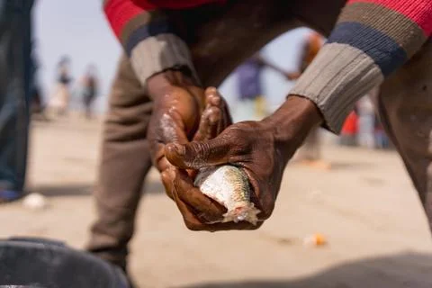 Close up of hands of african man working on traditional seafood at the beach in Фото