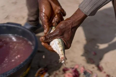 Close up of hands of african man working on traditional seafood at the beach in 스톡 사진