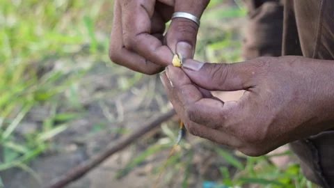 A close-up of hands baiting a fishing hook for fishing Stock Footage 314578844