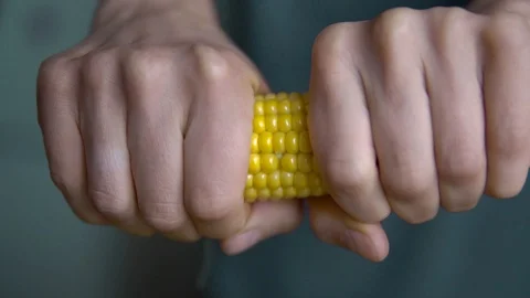 Close-up, hands break the corn rock into two halves and show the middle of the Stock Footage 91666845