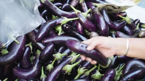 Close-Up Hands Choosing Fresh Eggplants and Putting Them in Plastic Bag Stock Footage 341535208