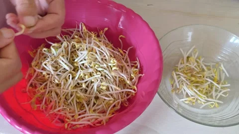 Close-up of hands cleaning and sorting fresh bean sprouts 動画素材 324623531