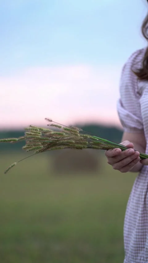 Close-up of hands clutching dried grass spikes against blurred rural field Видео 342967390