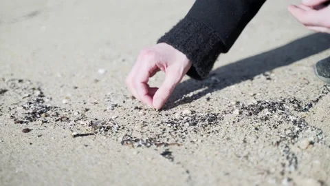 Close-up of hands collecting seashells in the sand. Sunny day at the beach Stock Footage 147210081