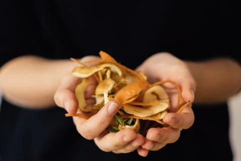 Close up hands with compost vegetable peelings on black background. Organic Stock Photos
