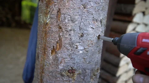 Close up of hands with cordless drill, worker unscrews the screw from timber Stock Footage 158977301