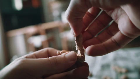 Close Up of Hands Cracking and Peeling a Fresh Peanut, Removing the Shell b.. Stockbeeldmateriaal 344090146