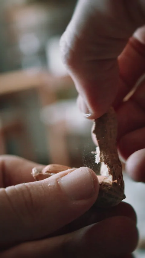 Close Up of Hands Cracking and Peeling a Fresh Peanut, Removing the Shell b.. Stockbeeldmateriaal 344510035