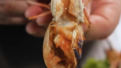 Close-up of Hands Cracking Open Cooked Shrimp with Creamy Roe 動画素材 344228664