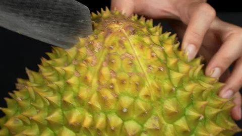 Close-up of hands cutting durian shell with a knife in studio. Stock Footage 335084850