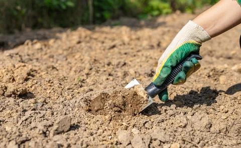 Close-up of hands digging soil with garden shovel. Springtime, working on a p Stock Photos