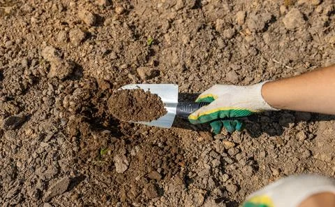 Close-up of hands digging soil with garden shovel. Springtime, working on a p Stock Photos