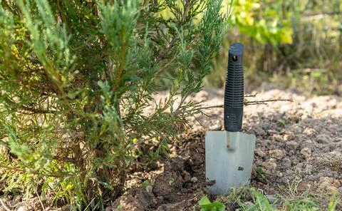 Close-up of hands digging soil with garden shovel. Springtime, working on a p Stock Photos