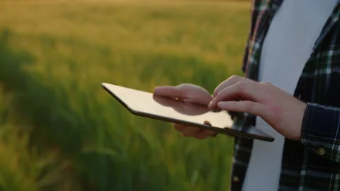 Close-up of the hands of a farmer who is typing on a tablet Stock Footage 234263501