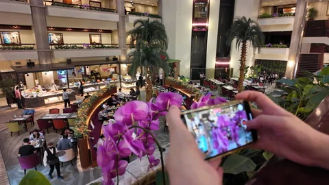 Close up of hands filming pink orchids in a luxury hotel buffet restaurant Stock Footage 334699538