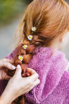 Close-up of hands gently decorating a little girl's long red braided hair w.. Stock Photos