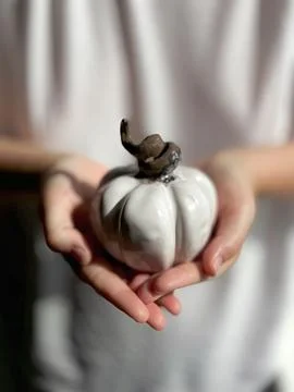 Close up of hands gently holding small white ceramic pumpkin with twisted brown Stock Photos