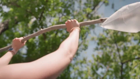 Close up of hands gripping and moving along sunlit tree branch with white bag Stock Footage 345135269