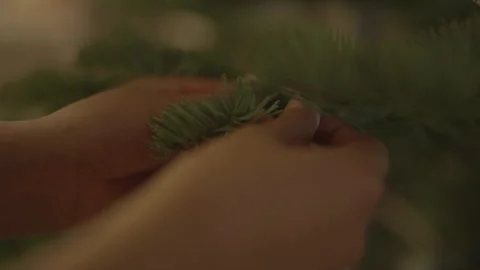 Close-up of hands hanging decoration on pine tree branch 스톡 동영상 334031704