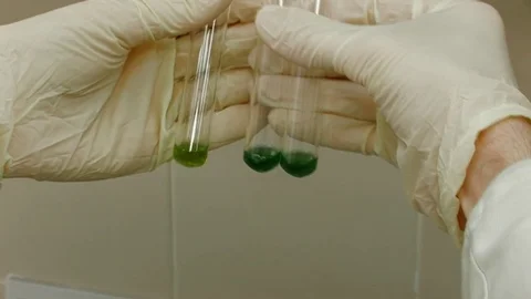 Close-up. Hands hold test tubes in a laboratory with reagents Stock Footage 82702528