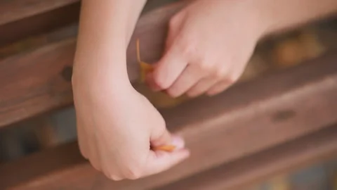 Close up of hands holding and gently manipulating yellow leaf on wooden slats Stock Footage 346723754
