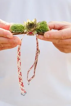 Close-up of hands holding a bow tie with decorative flowers on it Foto stock