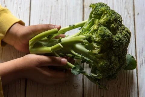 Close up of hands holding broccoli with Stock Photos