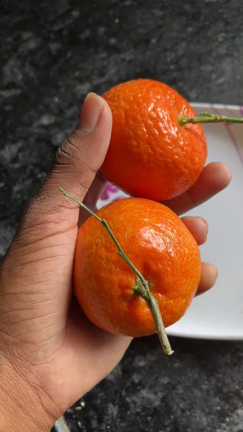 Close-Up of Hands Holding Fresh Mandarin Oranges | Citrus Fruit Detail Shot 動画素材 322901457