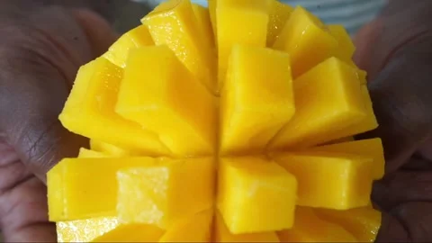 Close up of hands holding a fresh sliced mango hedgehog Stock Footage 335956238