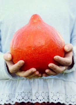 A close up of hands holding pumpkin. Stockfoto's