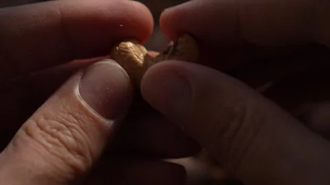 Close-up of hands holding single raw cashew nut Stock Footage 314262785