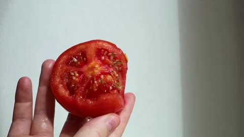 Close-up of hands holding a sliced red tomato with green sprouted seeds growing Stock-Footage 344639976