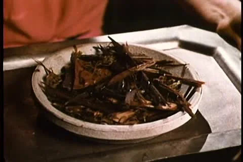 Close-up of hands holding tray with burning wood chips 스톡 동영상 11353241