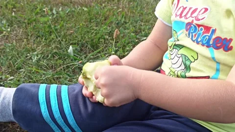 Close-up hands kid boy holding an apple and sitting on grass  outdoors. Boy eats Stock Footage 249694034