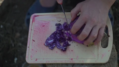 Close-up. hands with a knife finely chop purple cabbage. swing Stock Footage 113278314