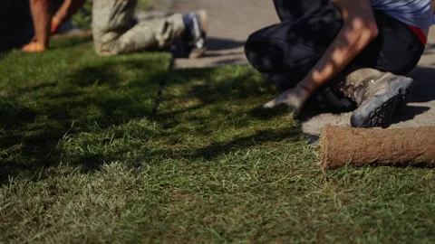 Close-up of hands laying out fresh turf rolls, workers installing new sod f.. Vidéo 334830280