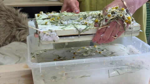 Close-up of hands lifting a paper screen with floral pulp from water. Handmade p Stock Footage 313501879
