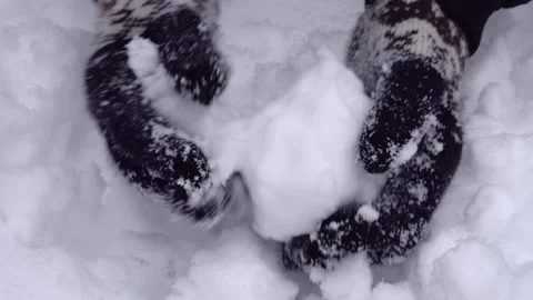 Close up of hands making a ball from snow. Wearing woven gloves. Quality audio Stock Footage 154255610