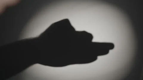 Close-up of hands making a dog shadow puppet on a white wall. Video stock 345502650