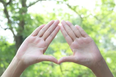 Close up of hands making frame gesture. Close up of woman hands making frame  Foto stock