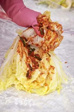 Close-up of hands making kimchi Stock Photos