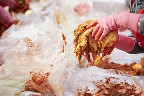 Close-up of hands making kimchi Stock Photos