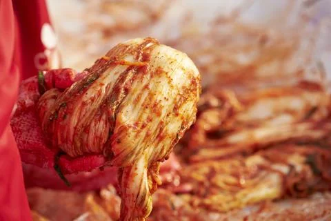 Close-up of hands making kimchi Stock Photos