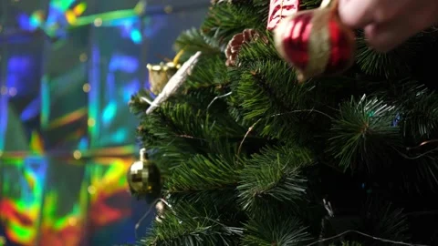 Close-up of the hands of man decorating Christmas tree with a red and gold ball. Stock Footage 165791950