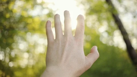Close up hands man hold on background of green treeand blue sky play with the Stock-Footage 94235488