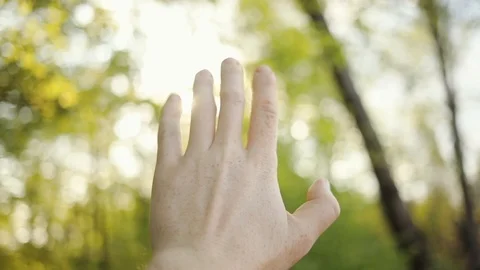 Close up hands man hold on background of green treeand blue sky play with the Stock Footage 94235646